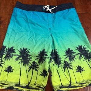 Boys Lined Swim Trunks